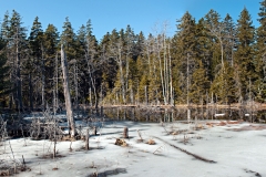 pano-ice-out-anp-01-031010