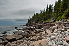pano-otter-cliff-01